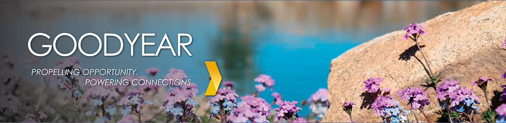 Beautiful purple flowers at Goodyear, Arizona lake in Estrella